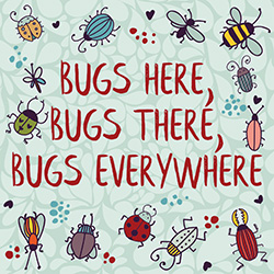 Bugs Here, Bugs There, Bugs Everywhere