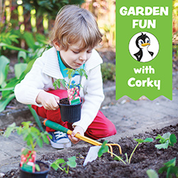 Garden Fun with Corky