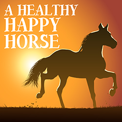 A Healthy Happy Horse