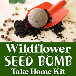 Wildflower Seed Bomb Take Home Kit