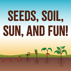 Seeds, Soil, Sun, and FUN!
