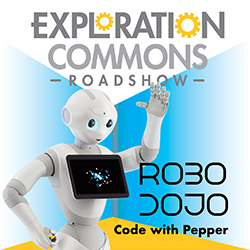 Robo Dojo - Code with Pepper
