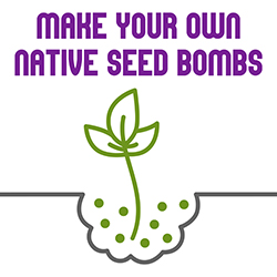 Make Your Own Native Seed Bombs