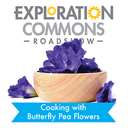 Cooking with Butterfly Pea Flowers