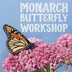 Monarch Butterfly Workshop
