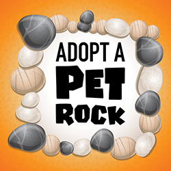 Adopt a Pet Rock