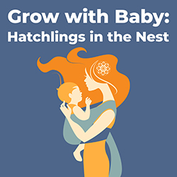 Grow with Baby: Hatchlings in the Nest
