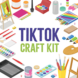 TikTok Craft Kit