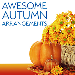 Awesome Autumn Arrangements