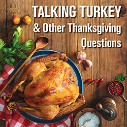 Talking Turkey & Other Thanksgiving Questions