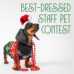 Best-Dressed Staff Pet Contest