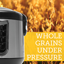 Electronic pressure cooker in front of a background of field oats