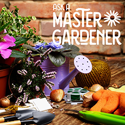 Image of an indoor setting with various garden tools and supplies