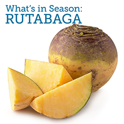 Whole and sliced rutabaga on a white background