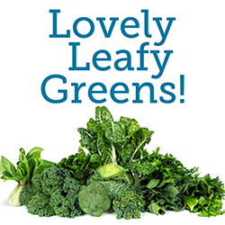 Assorted leafy green vegetables on a white background