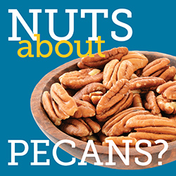 A bowlful of shelled pecans
