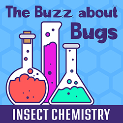 The Buzz about Bugs: Insect Chemistry