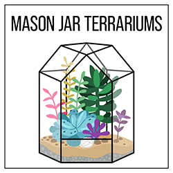 illustration of a terrarium