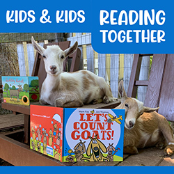 goats with books
