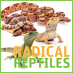 Radical Reptiles