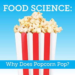 Food Science: Why Does Popcorn Pop?