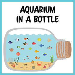 Aquarium in a Bottle