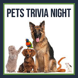 Pets Trivia Night