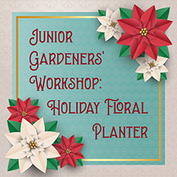 Junior Gardeners' Workshop: Holiday Floral Planter
