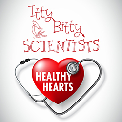 Itty Bitty Scientists: Healthy Hearts