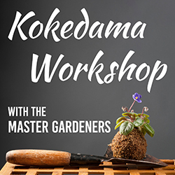 Kokedama Workshop with the Master Gardeners