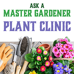 Ask a Master Gardener Plant Clinic