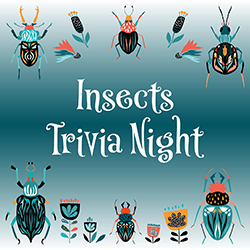 colorful illustation of insects on a dark teal background