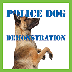Head and shoulders image of a police dog over a white background with the words police dog demonstration