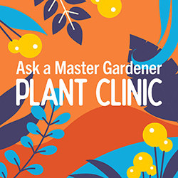A background of colorful leaf shapes in blues, oranges, and yellows with the words Ask a Master Gardener Plant Clinic in white