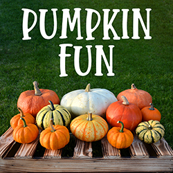 a variety of pumpkins on a wooden pallete in front of grass