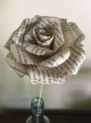 book page rose
