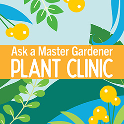 Abstract background of green, blue, and orange foliage with the words Ask a Master Gardener Plant Clinic