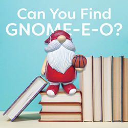 Can You Find Gnome-E-O?