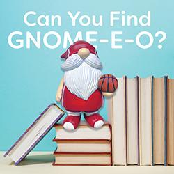 Can You Find Gnome-E-O?