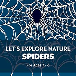 Let’s Explore Nature: Spiders