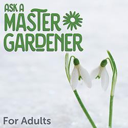 Ask a Master Gardener