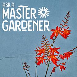 Ask a Master Gardener