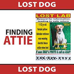 Finding Attie