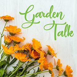 Image of orange flowers on light colored wood tabletop