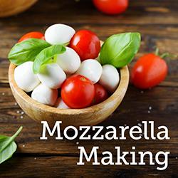 Homemade mozzarella cheese in a wooden bowl with tomatoes and basil