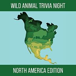Wild Animal Trivia Night: North America Edition