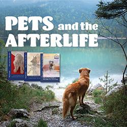 Pets and the Afterlife