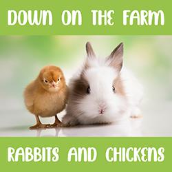 Down on the Farm: Rabbits and Chickens