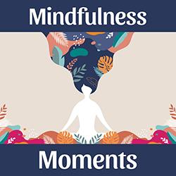 Mindfulness Moments