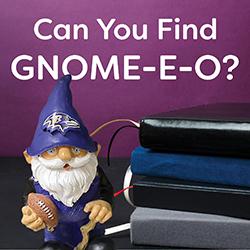 Can You Find Gnome-E-O?